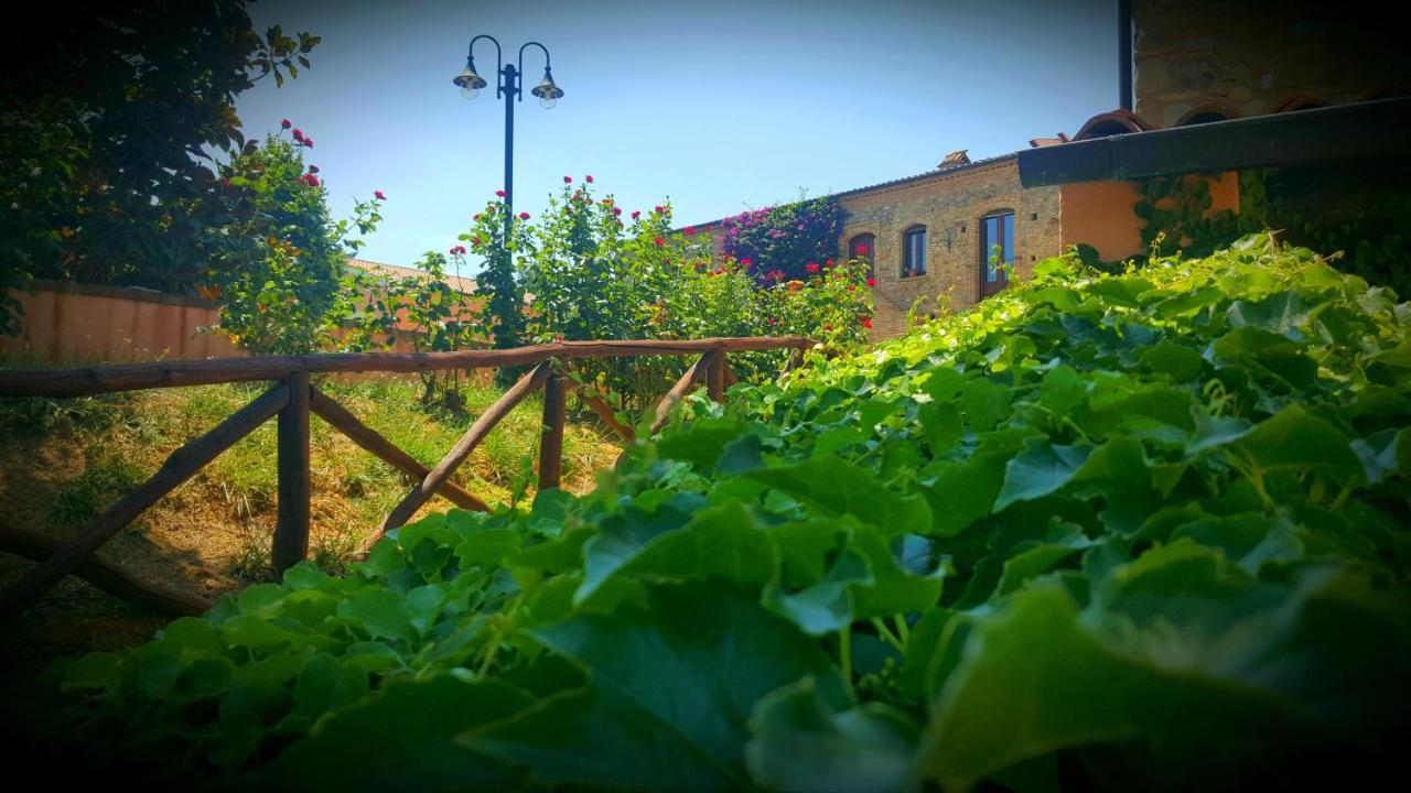 La Masseria Lolivia Senise Екстериор снимка